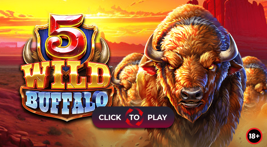 5 Wild Buffalo