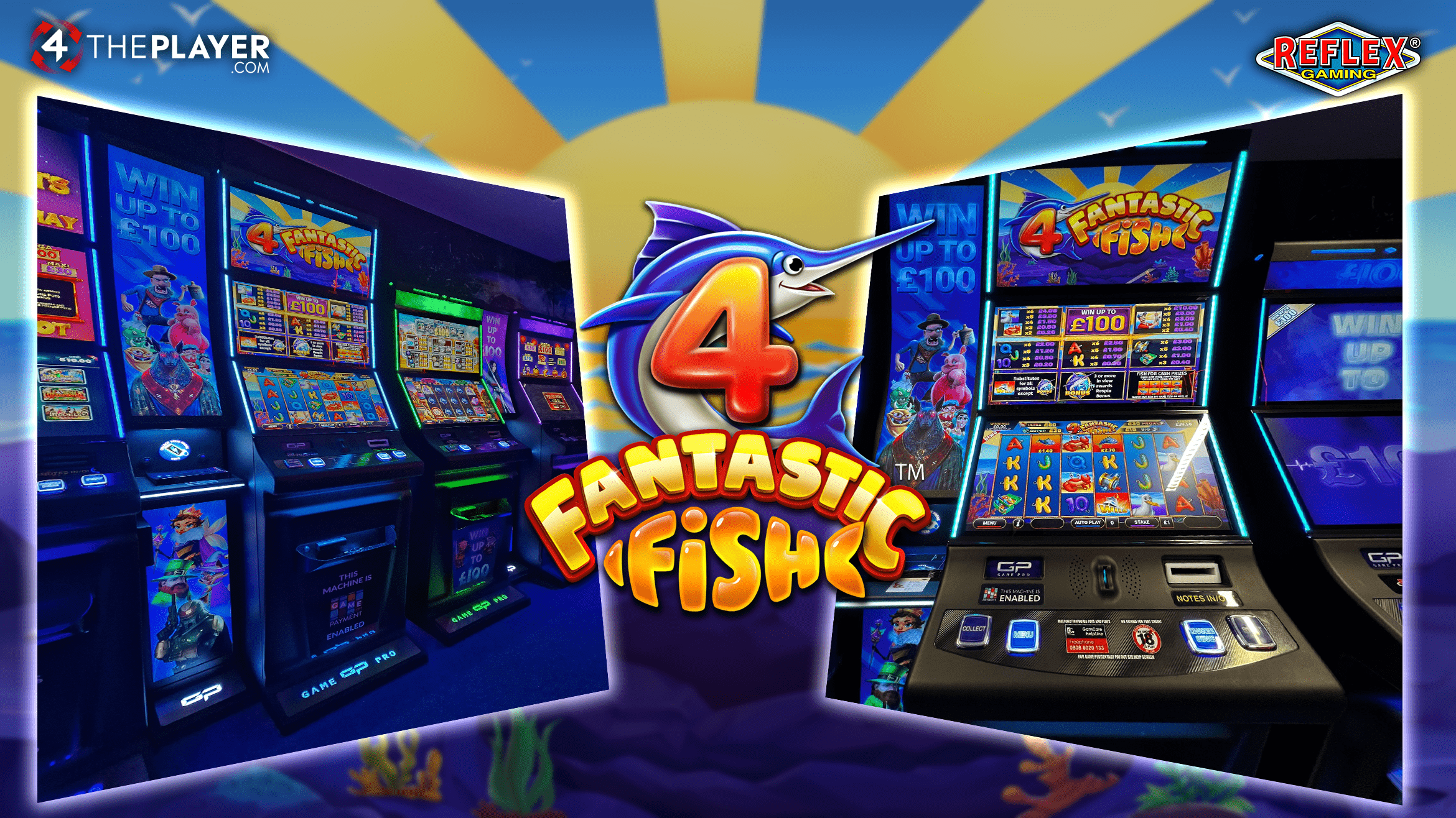 4 Fantastic Fish Retail